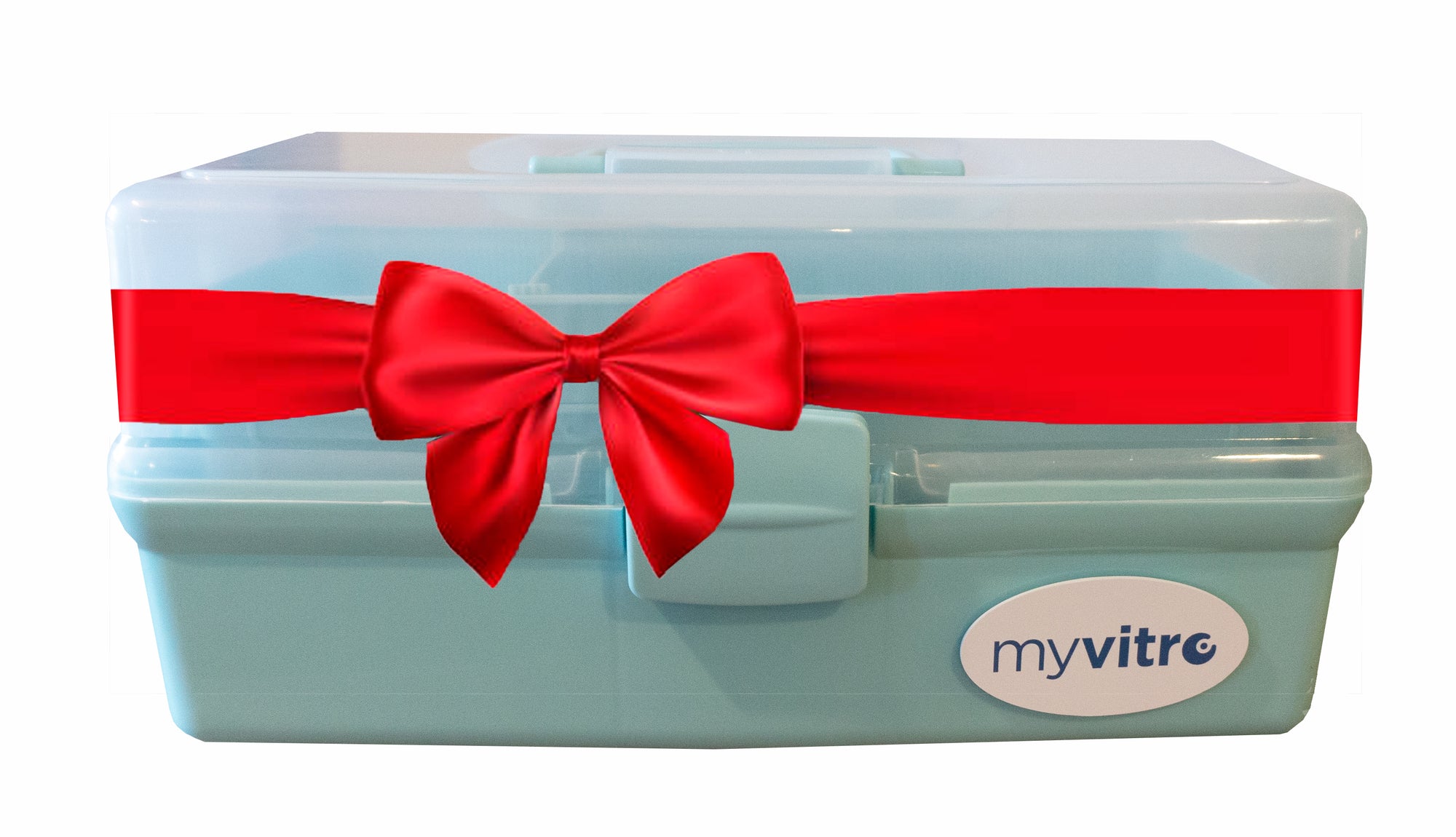 IVF Gifts for Every Budget